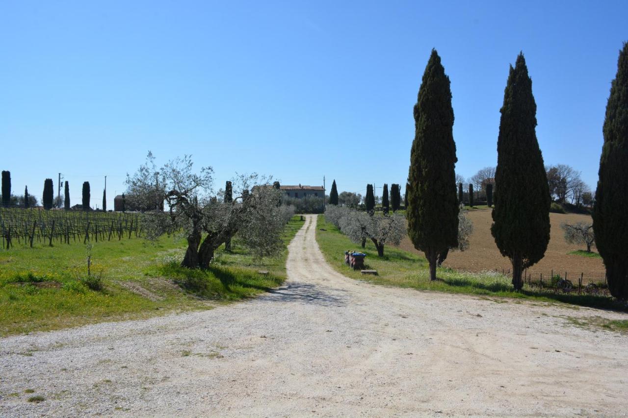 Scappo In Umbria, Casale Monti Villa Montoro  ภายนอก รูปภาพ
